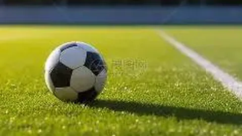 “中国女将破纪录，宁忠岩领跑亚冬会速度滑冰赛场——2025年2月8日亚冬会焦点”